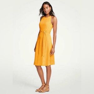 Ann Taylor Halter Flare Dress in Apricot Zest